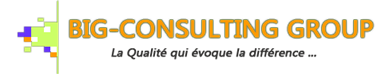 Big Consulting